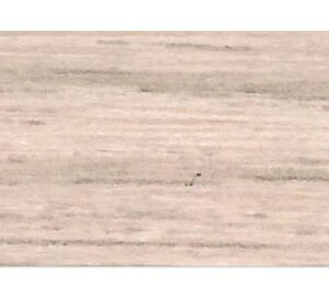 CC MELAMINA CHARDONAY 50mm