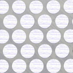 COVER CAPS LARICINA SIBERIA